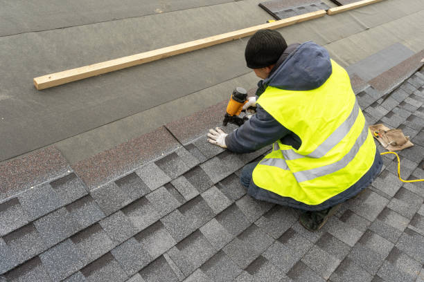 Best Roof Moss and Algae Removal  in Ralls, TX